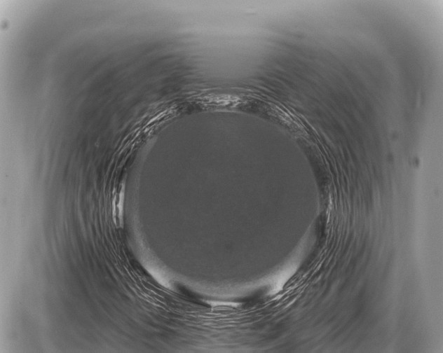 X0000087571394200705041406
