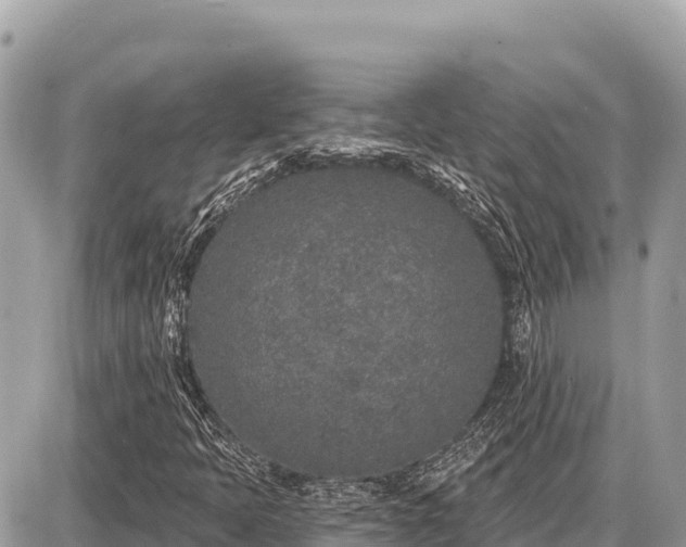 X0000087571397200705041406