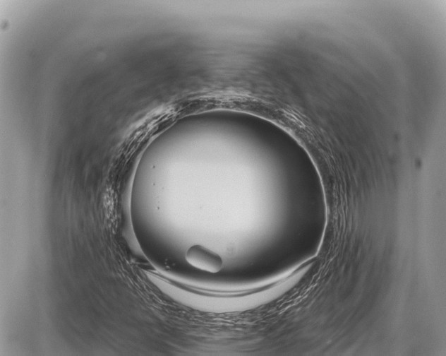 X0000087571398200705041406