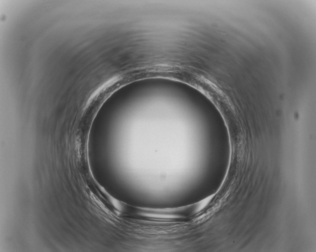 X0000087571402200705041406