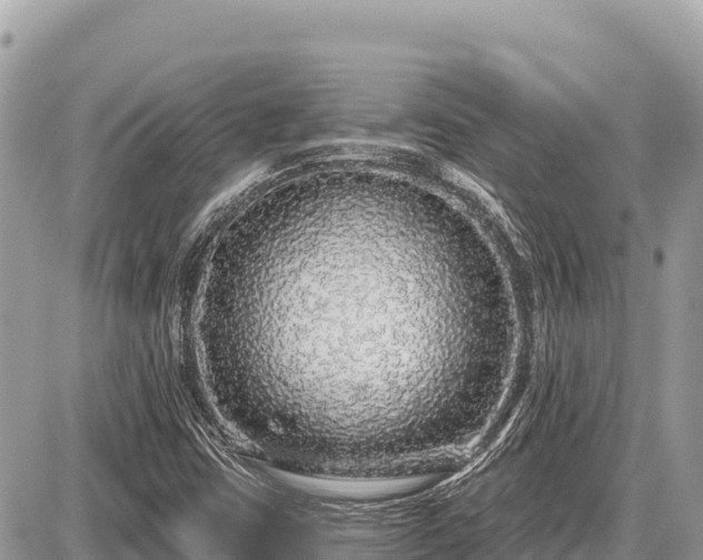 X0000087571403200705041406