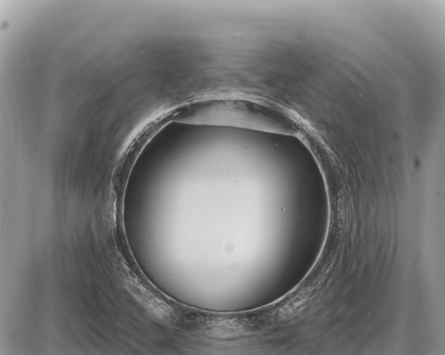 X0000087571408200705041406