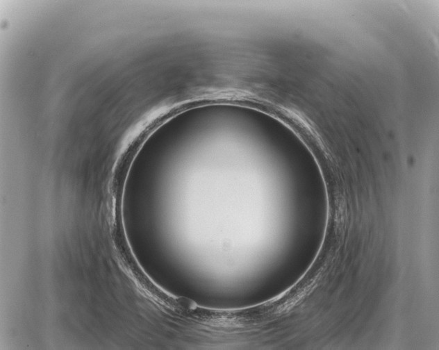 X0000087571414200705041406