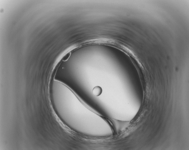 X0000087571426200705041407