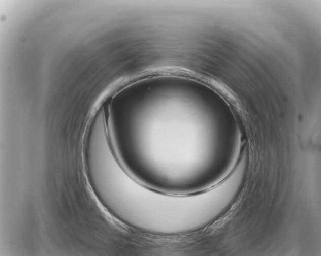 X0000087571430200705041407