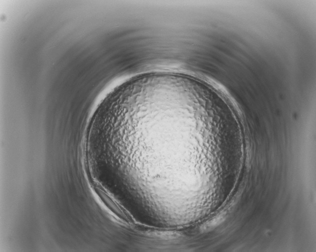 X0000087571432200705041407