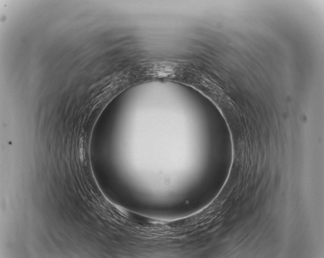 X0000087571442200705041406