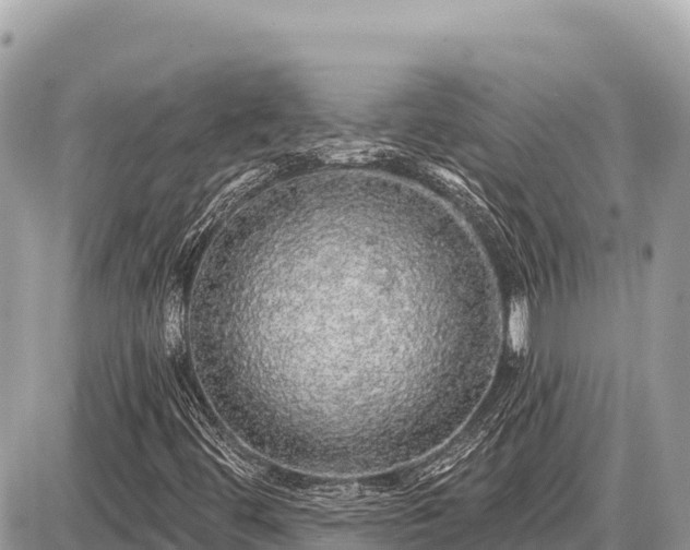 X0000087571444200705041406