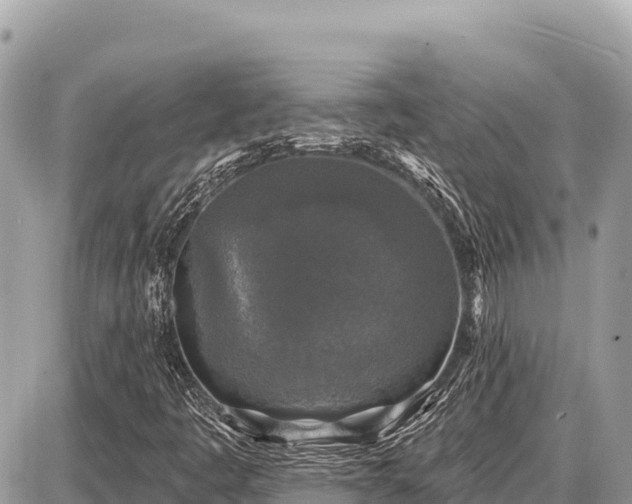 X0000087571445200705041406