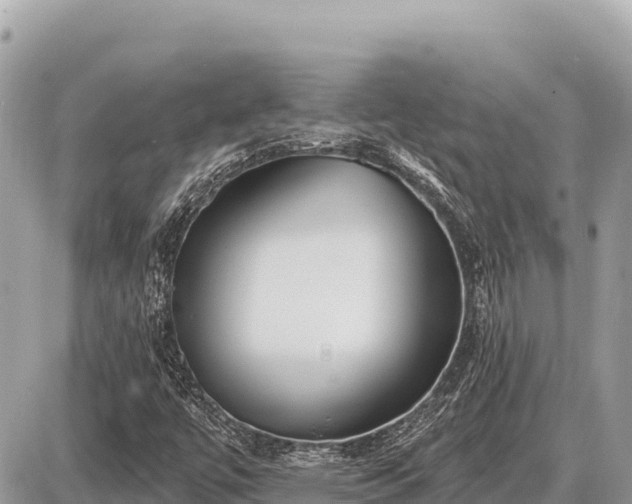 X0000087571447200705041406