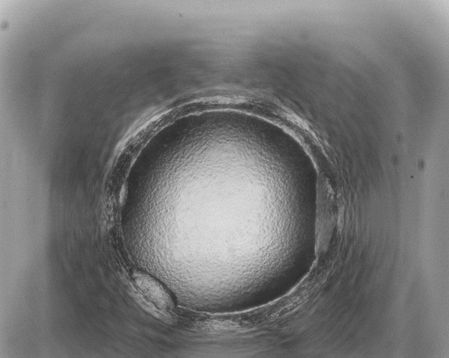 X0000087571448200705041406