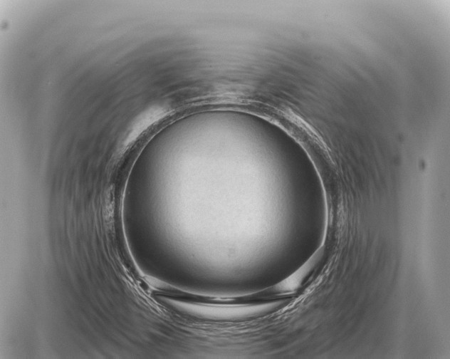 X0000087571450200705041406