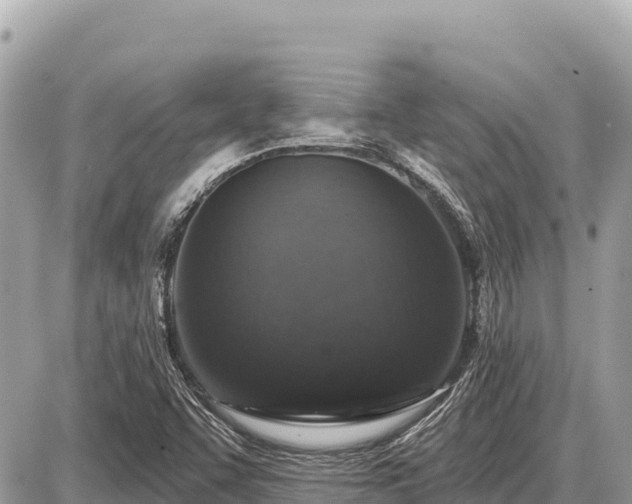 X0000087571455200705041406
