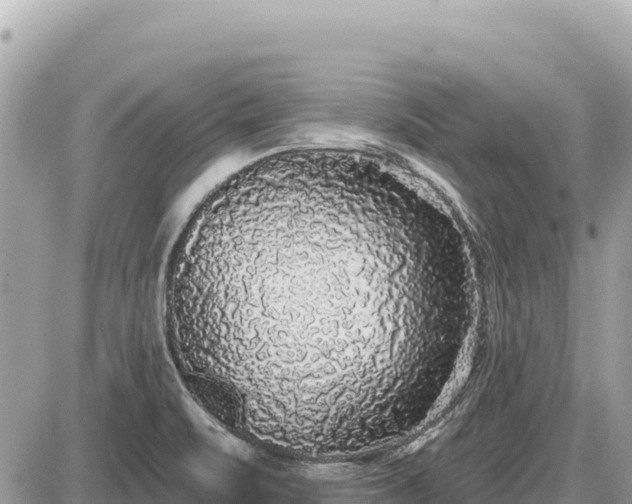 X0000087571471200705041406