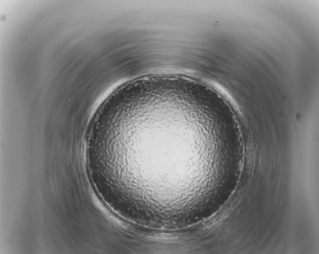 X0000087571476200705041406
