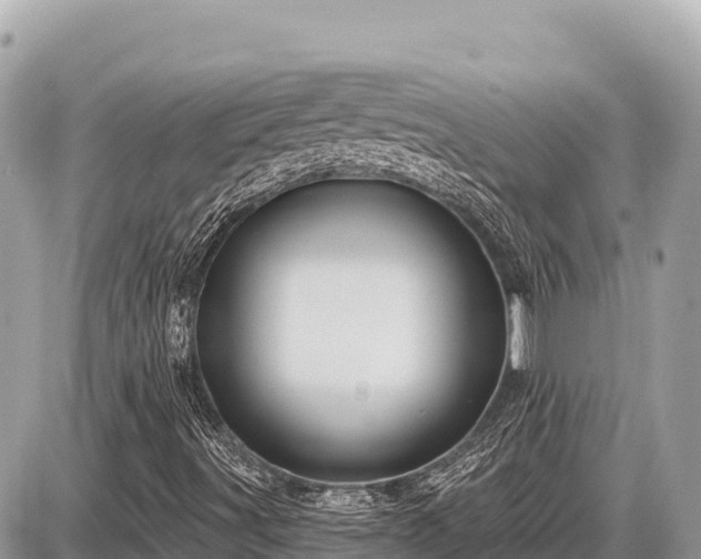 X0000087571491200705041405