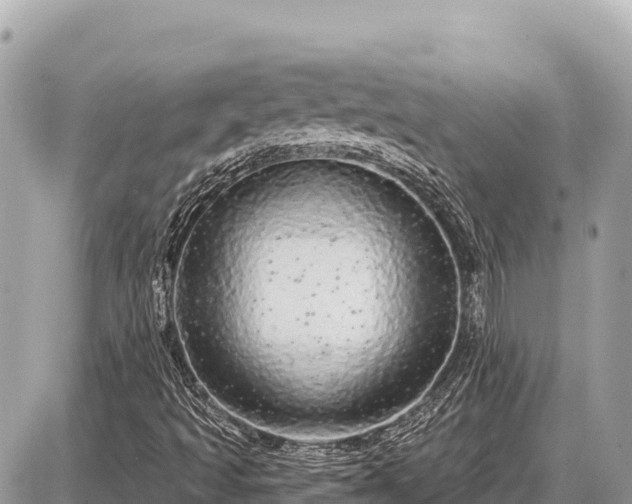 X0000087571493200705041405