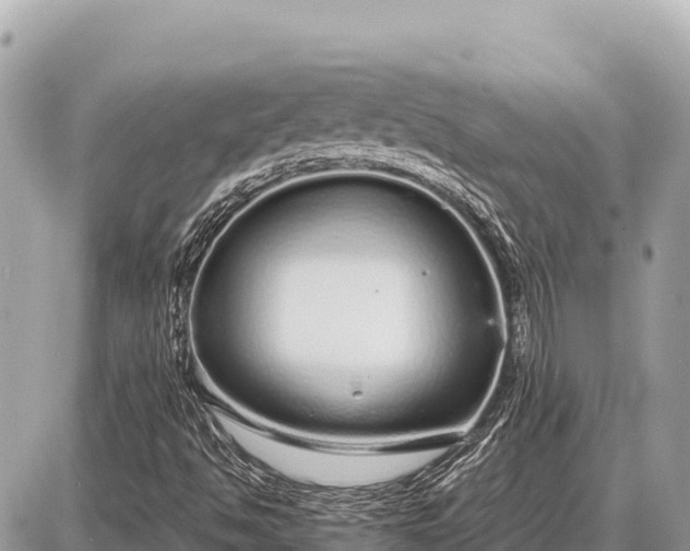 X0000087571494200705041405