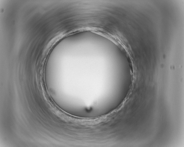 X0000087570001200705112224