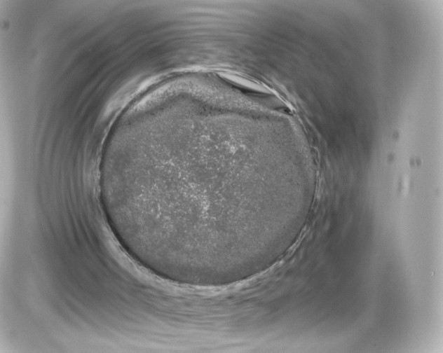 X0000087570002200705112224