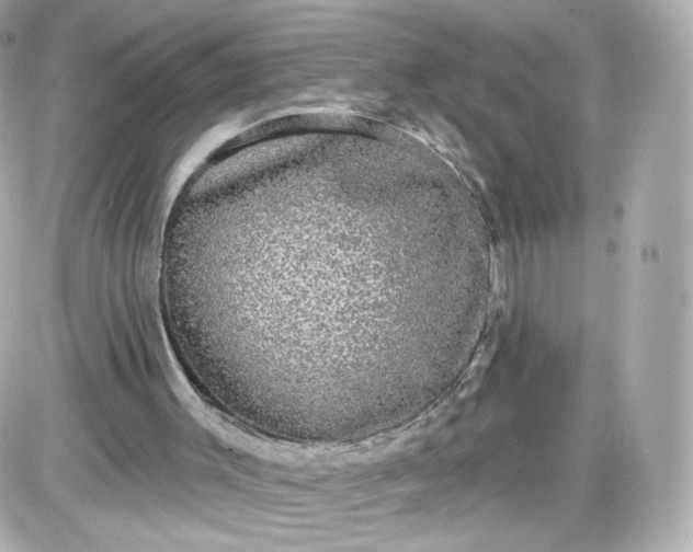 X0000087570003200705112224