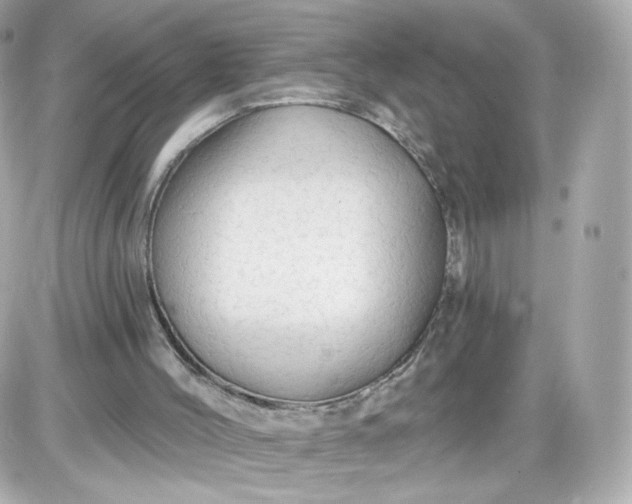 X0000087570004200705112224