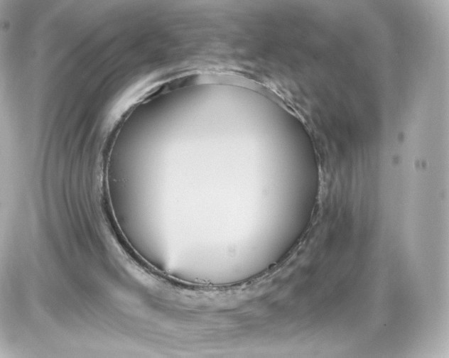 X0000087570005200705112224