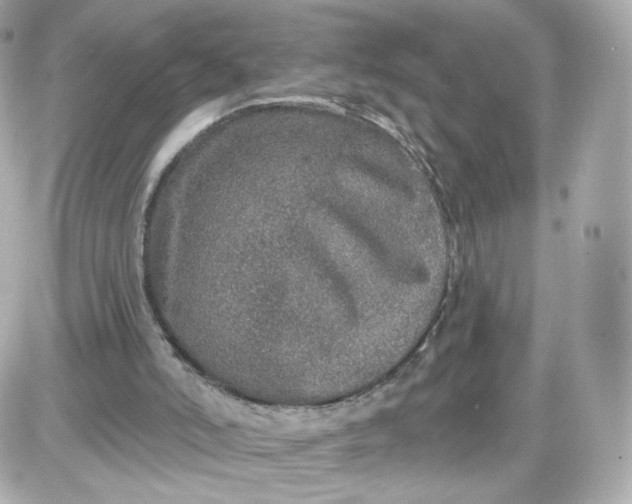 X0000087570006200705112224