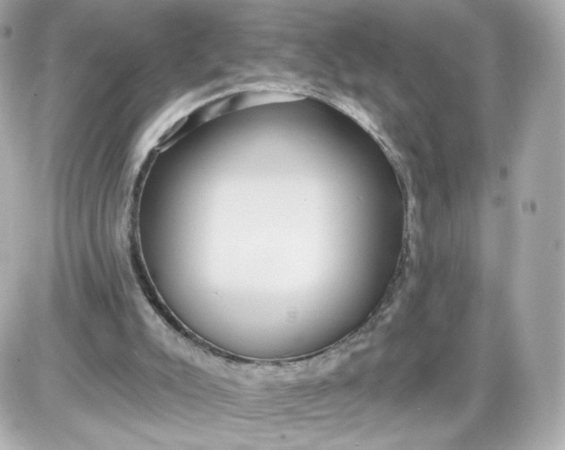 X0000087570007200705112224