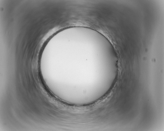 X0000087570008200705112224