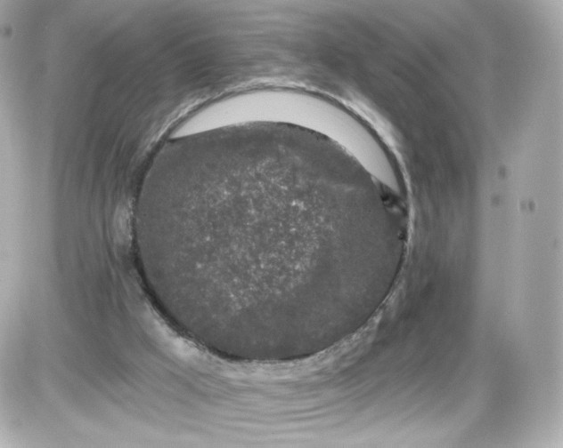 X0000087570009200705112224