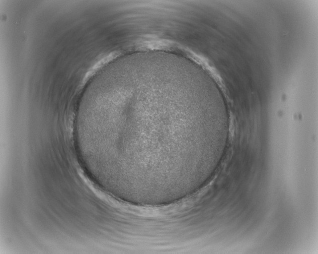 X0000087570010200705112224