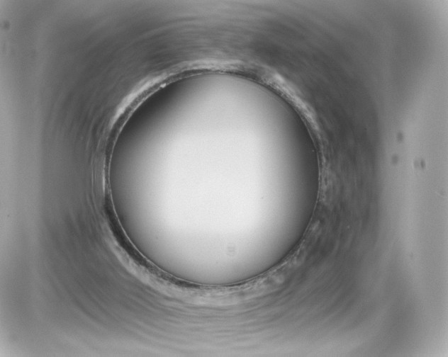 X0000087570011200705112224