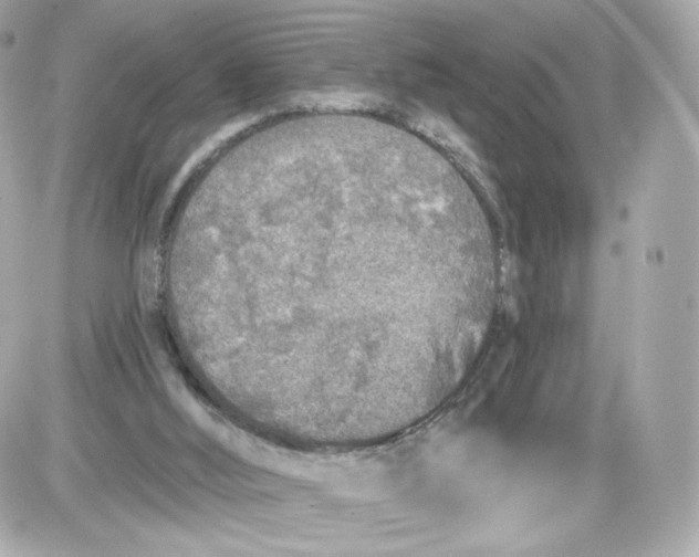 X0000087570012200705112224