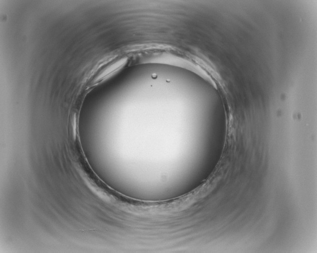 X0000087570013200705112224