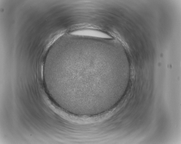 X0000087570014200705112224