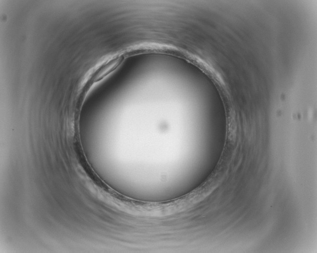 X0000087570015200705112224