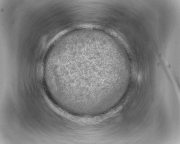 X0000087570016200705112224