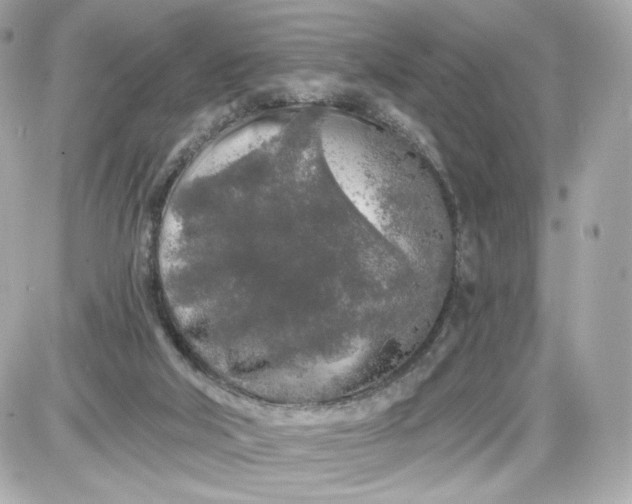 X0000087570018200705112224