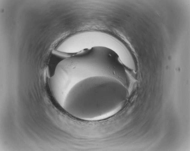 X0000087570019200705112224