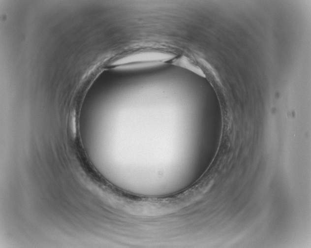 X0000087570020200705112224