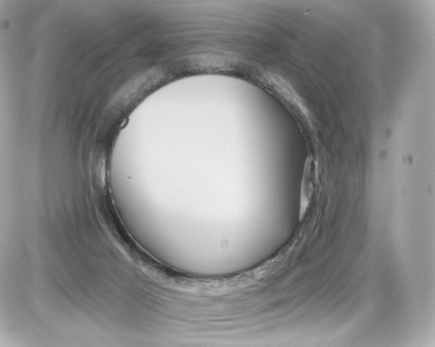 X0000087570021200705112224