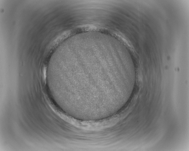 X0000087570022200705112224