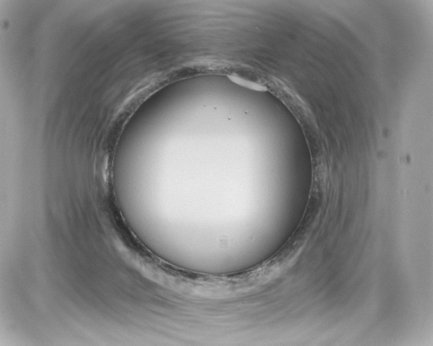 X0000087570024200705112224