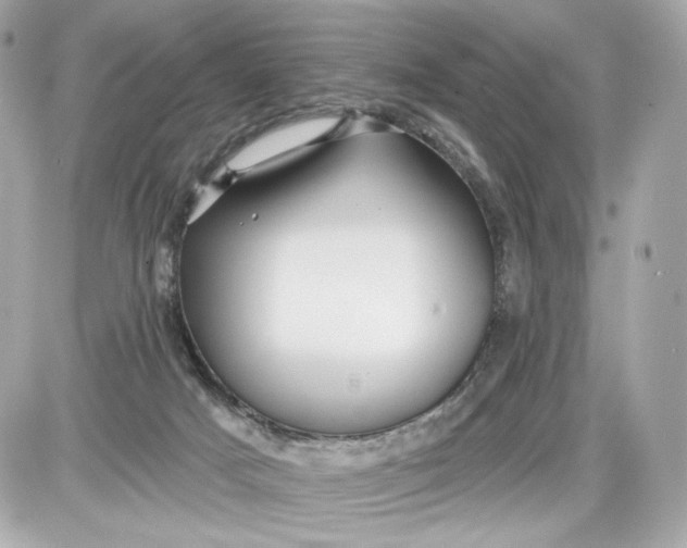 X0000087570025200705112224