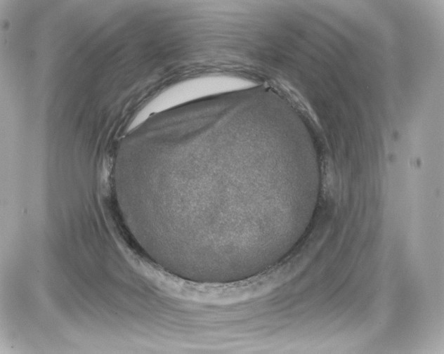 X0000087570026200705112224