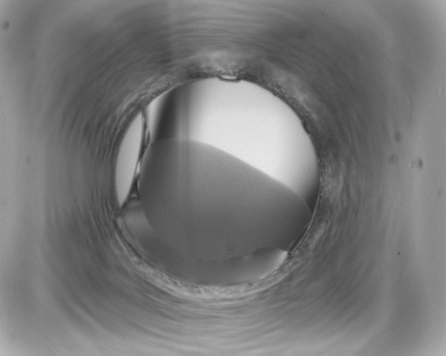 X0000087570027200705112224