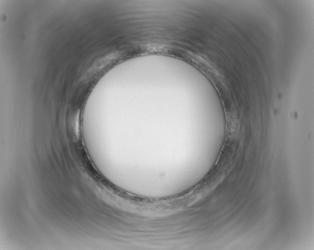 X0000087570028200705112224