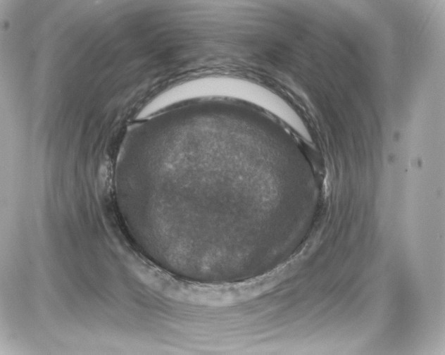 X0000087570029200705112224