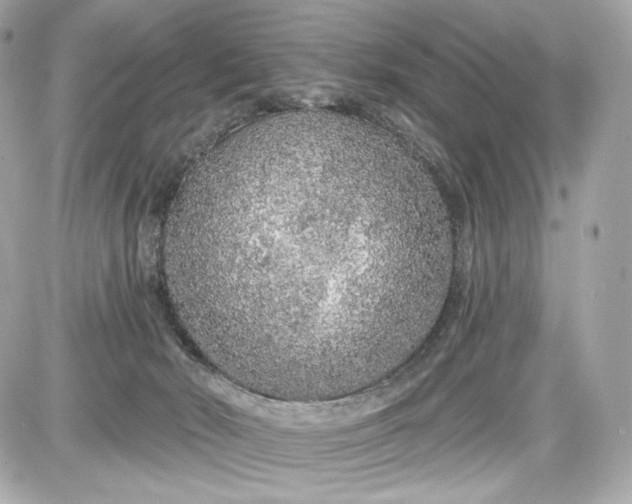 X0000087570030200705112224